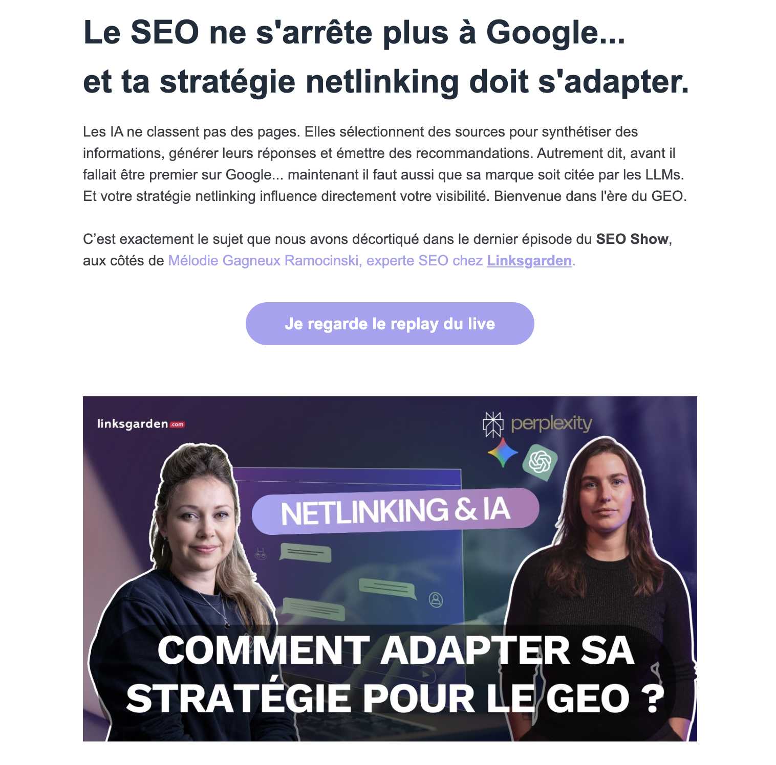 newsletter-seo-show